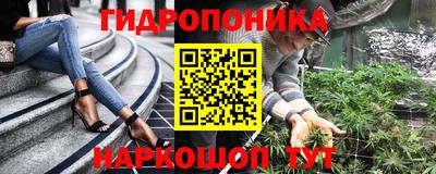 индика Будённовск