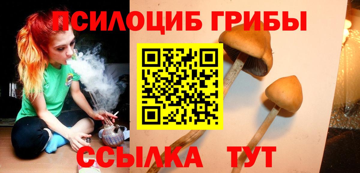 Галлюциногенные грибы мицелий Кушва